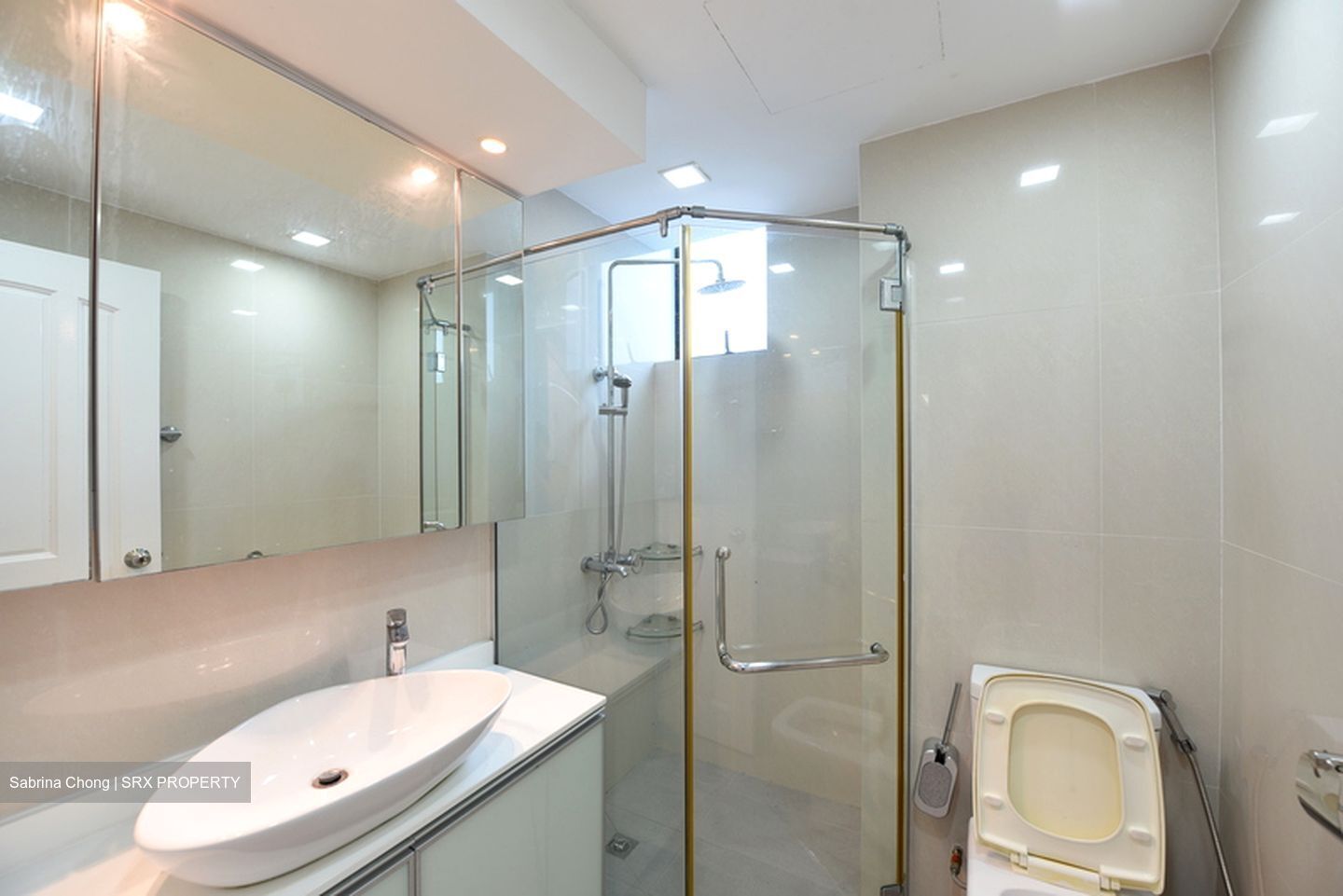 Spring Grove (D10), Condominium #506232911